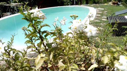 B&B Case Campetti