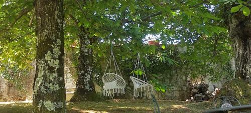 B&B Case Campetti