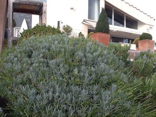 Bed & Breakfast La Villa Blanche