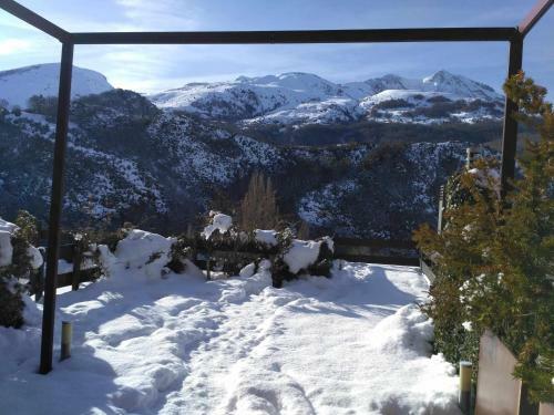 Apartamento Casa La Hiedra D�plex Independiente Jard�n Privado