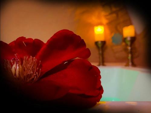 Agroturismo Casas Cueva El Casta�o