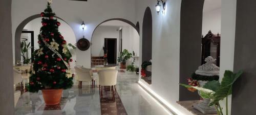 Bed & Breakfast Casa De La Se�ora