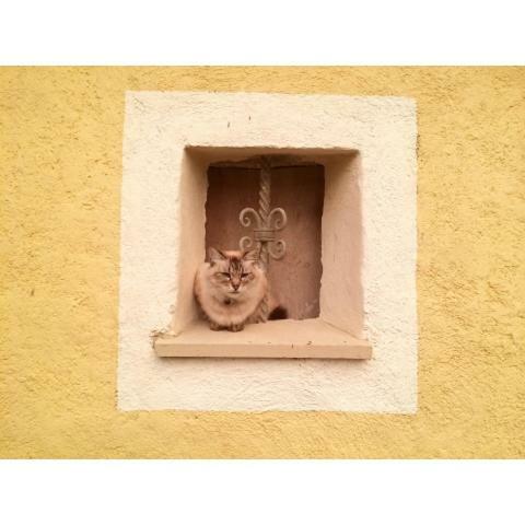Casita Neptuno