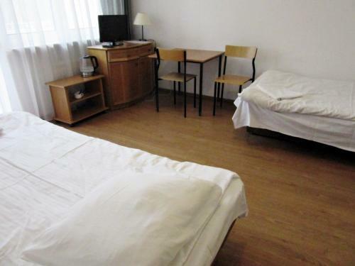 Hostal Scsk Brze?no