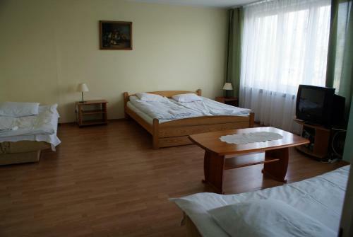 Hostal Scsk Brze?no