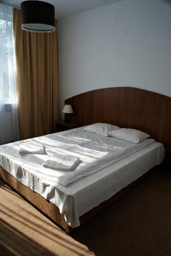 Hostal Scsk Brze?no