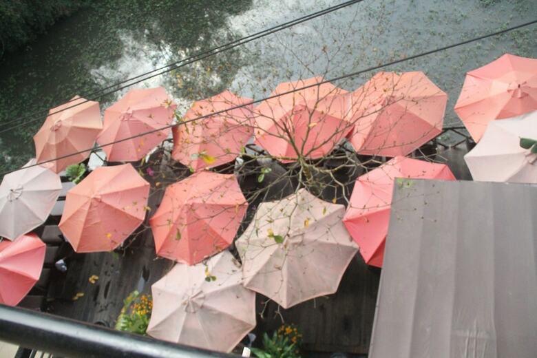 Thien Thanh Boutique Hotel