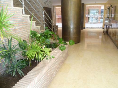 Apartamento Apcostas Marina D'or 1era L�nea - Frontal Mar