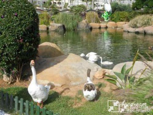 Apartamento 1� Linea En Marina D�or, Oropesa Del Mar