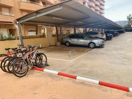 1ra Linea Playa Magic World Luxury Apartament Pp3 Pet