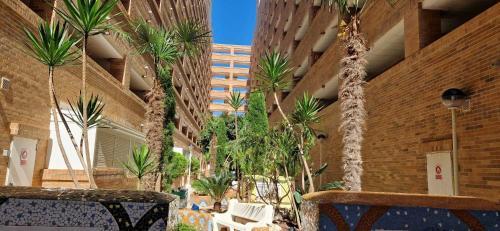 Apartamento Torremar N� 1092