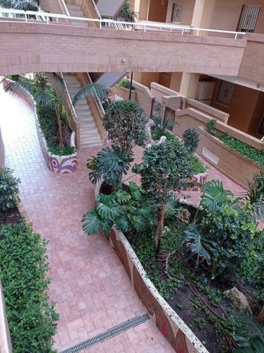 Apartamento Marina D'or