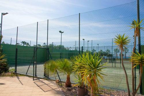 Apartamento Impresionante Terraza En Atico Duplex Cabo Roig)