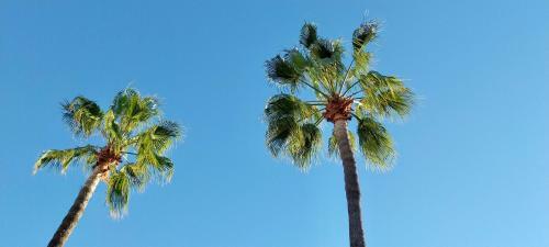 Apartamento Casa La Zenia Orihuela Costa