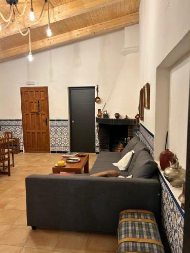 La Cija Olmedo