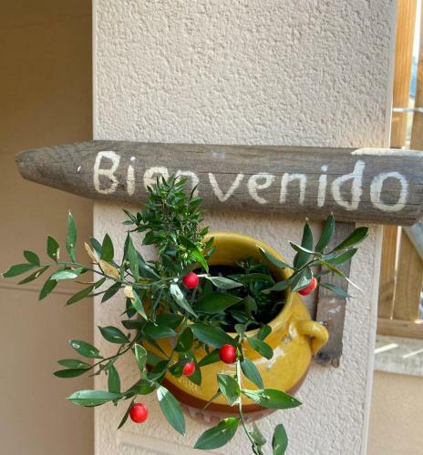 Rac� Del Garraf Ca La Matilde House Bbq And Pool