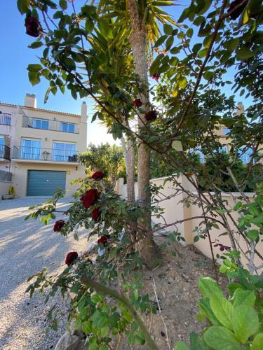 Rac� Del Garraf Ca La Matilde House Bbq And Pool
