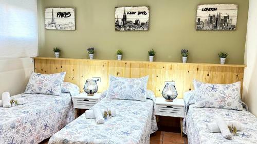 Apartamento Casas Del Mar - Oliva Nova - Primera L�nea de Playa