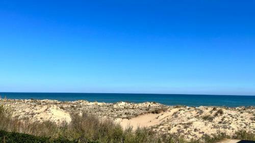 Apartamento Casas Del Mar - Oliva Nova - Primera L�nea de Playa