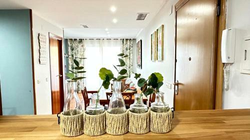 Apartamento Casas Del Mar - Oliva Nova - Primera L�nea de Playa