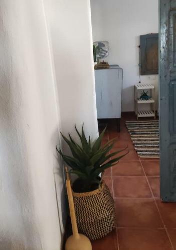La Casita Azul