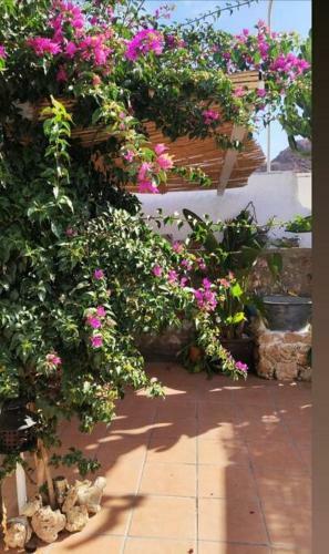 La Casita Azul