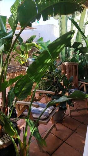 La Casita Azul