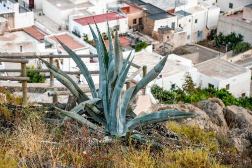 Apartamento Nijar Bella Y Su Parque Natural Cabo de Gata