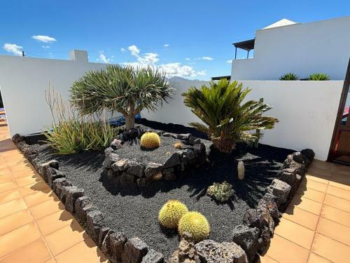 Villa Rinc�n Oasis Nazaret