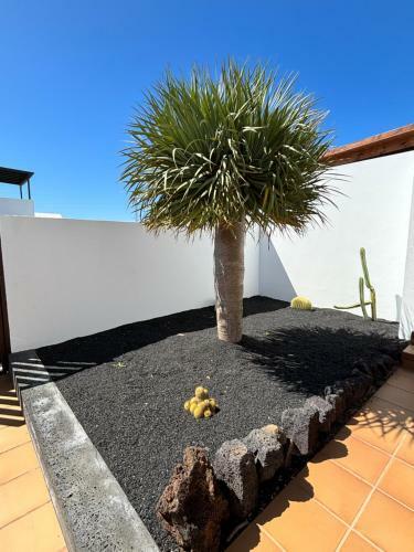 Villa Rinc�n Oasis Nazaret