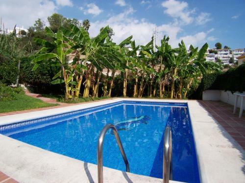 Villa R1352 Pinomar D