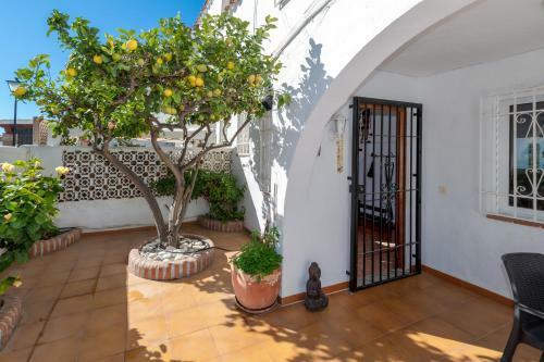 Casa Limon
