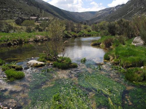 Bed & Breakfast Terra Mista Alojamento Local