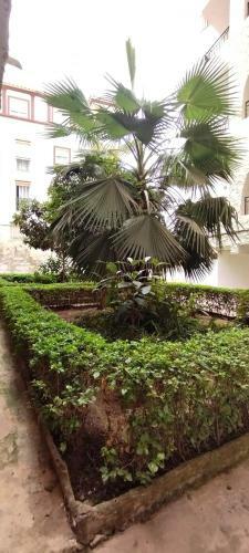 Apartamento Ap370 - Bahia