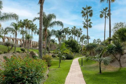 Tetuan 40 Oasis Properties