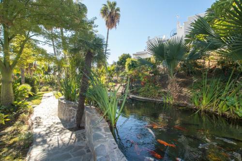 Tetuan 40 Oasis Properties