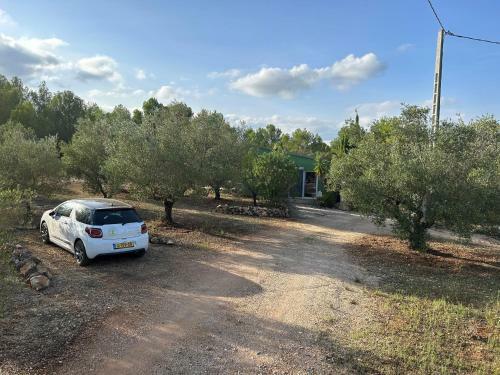 Apartamento Casa Olivero