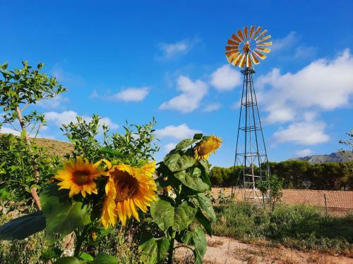 Agroturismo Ecoturismo Cabo Ti�oso