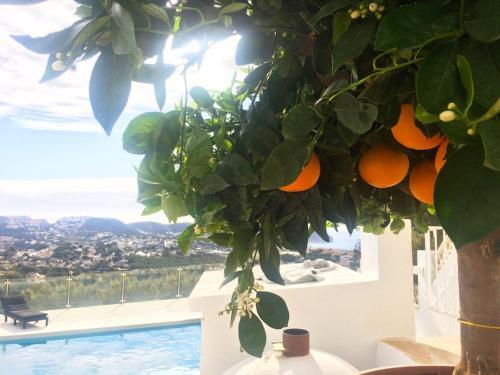 Casa Vida, Your Villa With Panoramic Sea Views In Moraira.