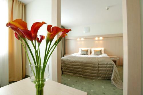 Hotel Cieplice