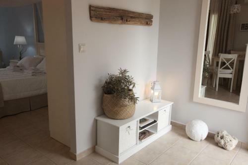 Apartamento Olivastro Villa