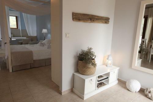 Apartamento Olivastro Villa
