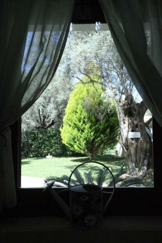Apartamento Olivastro Villa