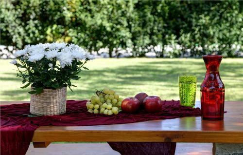 Apartamento Olivastro Villa