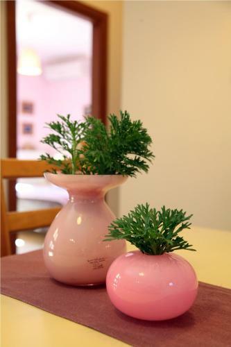 Apartamento Olivastro Villa