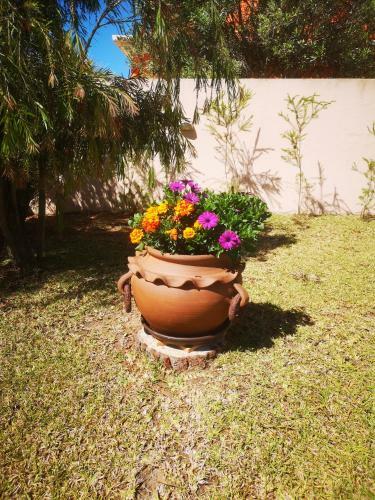 Hostal Casa Dos Cedros