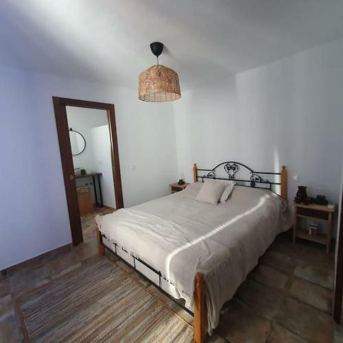 Casa Haarleme�a