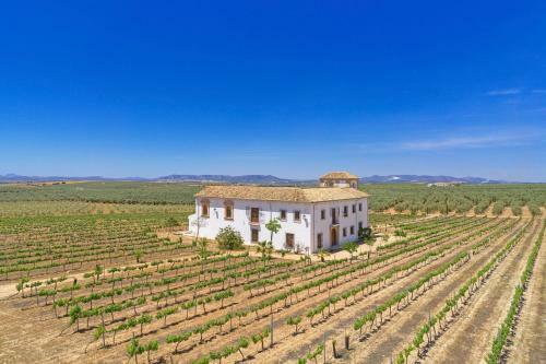 Villa Cortijo Don Cristobal