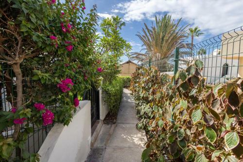 3br House - Parking - Pool - 15 Min Walk To Beach