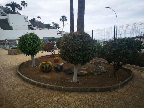 Apartamento Ca' Toba